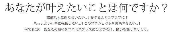 Promise Brace(プロミスブレス)