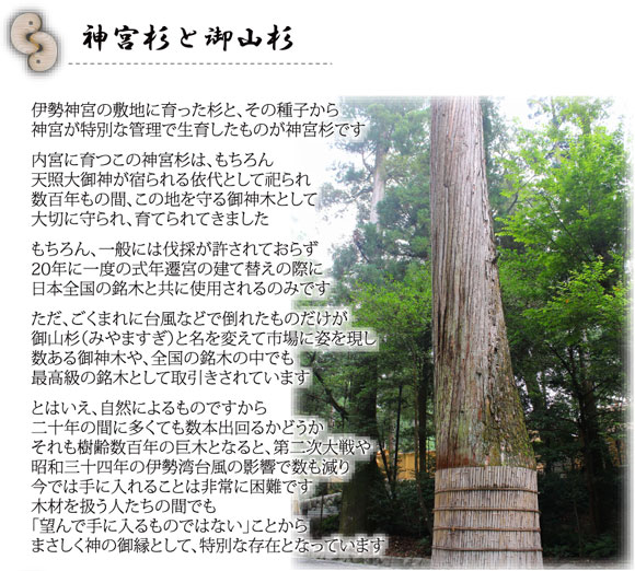 御山杉